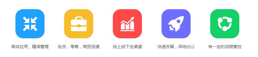 管家婆分銷ERP V1 成長型企業(yè)管理解決方案_適用企業(yè)類型高效應(yīng)用，精準管理/批發(fā)，零售，商貿(mào)流通/線上線下全渠道/快速發(fā)展，異地辦公/有一定的流程管控
